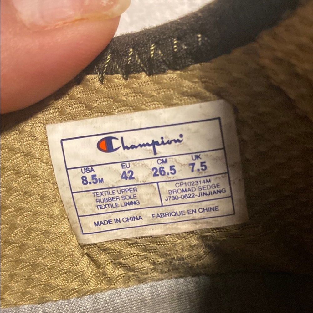 Champion Bromad Sedge Earth Tones Men's Sneakers